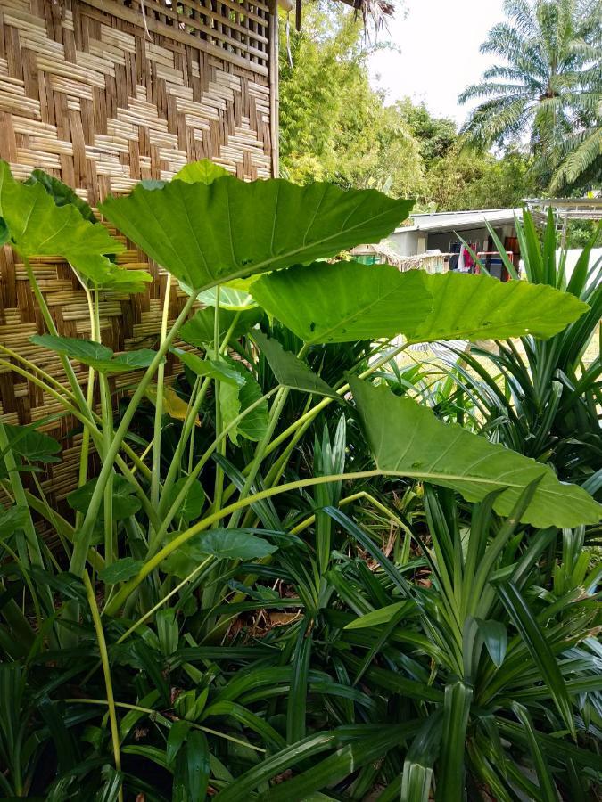Meechok Organic Home Ao Nang Exterior photo